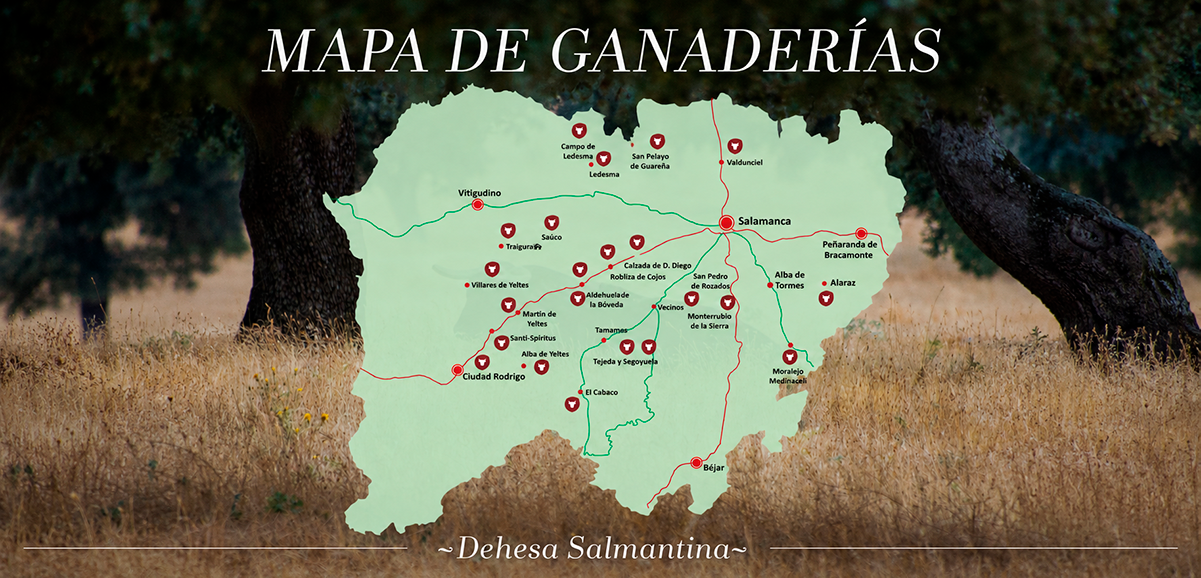 Mapa de ganadería de la Dehesa salmantina