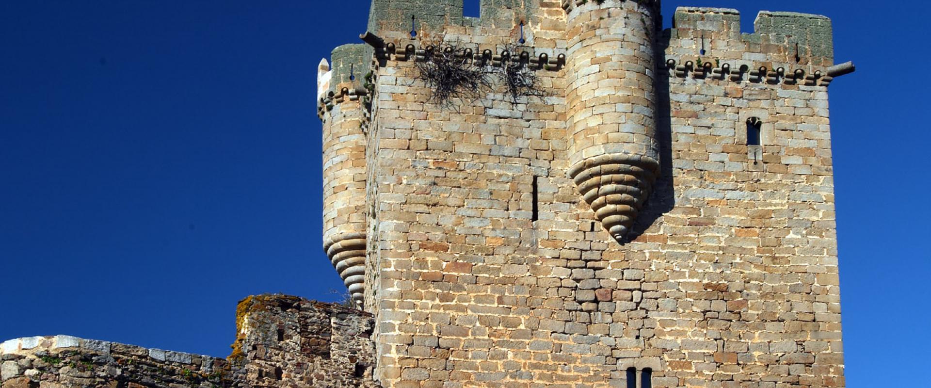 Château de San Felices de los Gallegos