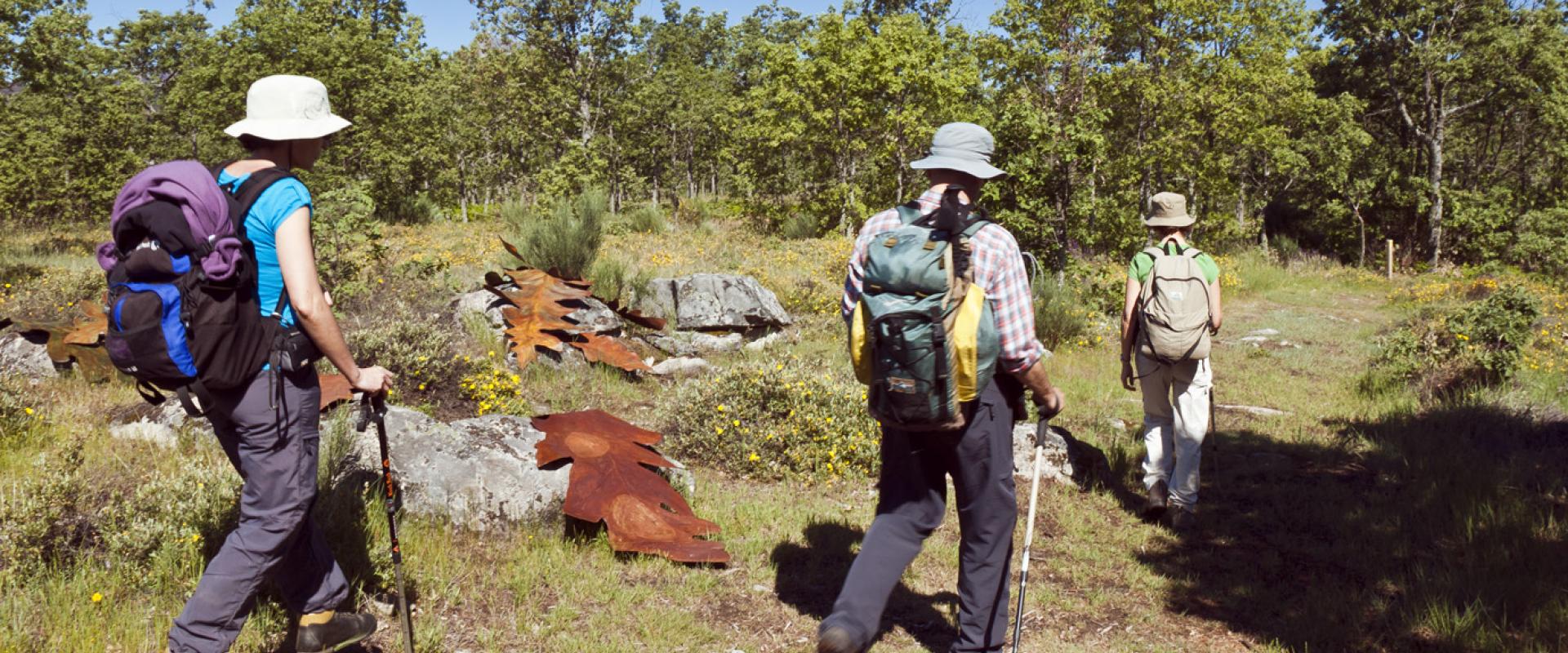 Sports in the open air