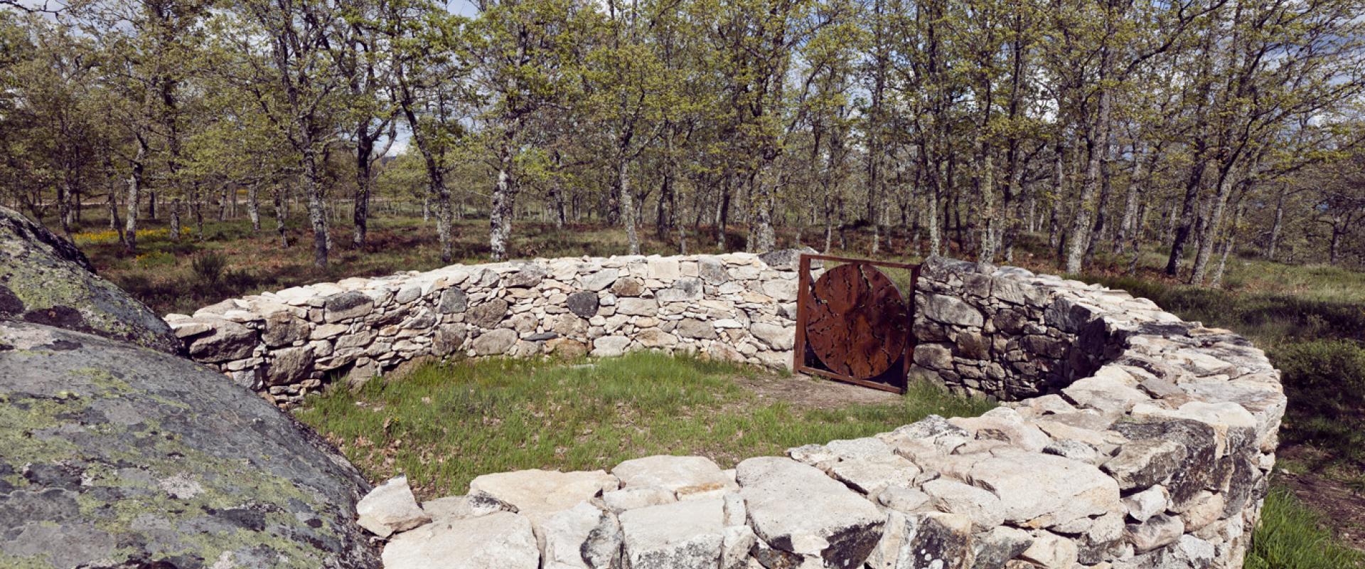 El Camino de las Raíces