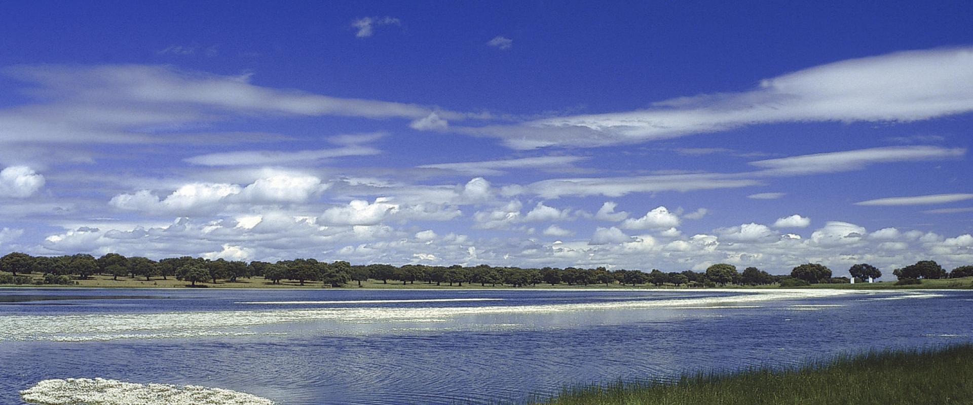 Other interesting wet areas