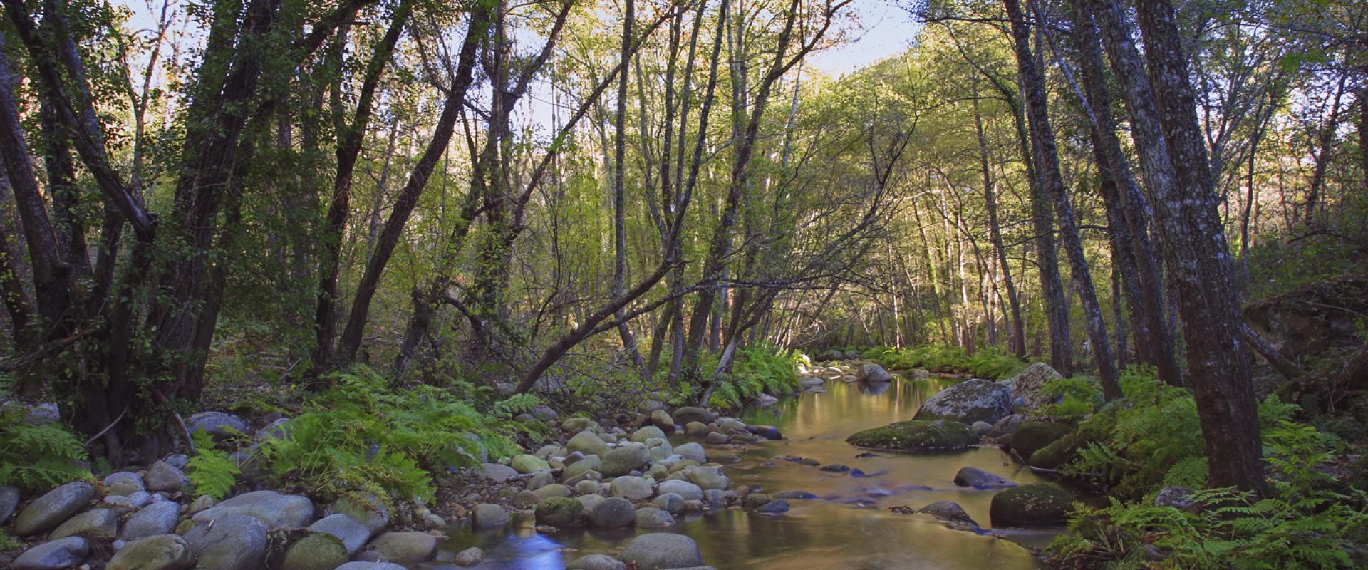 Accesible Hiking in the Natural Park Las Batuecas – Sierra de Francia
