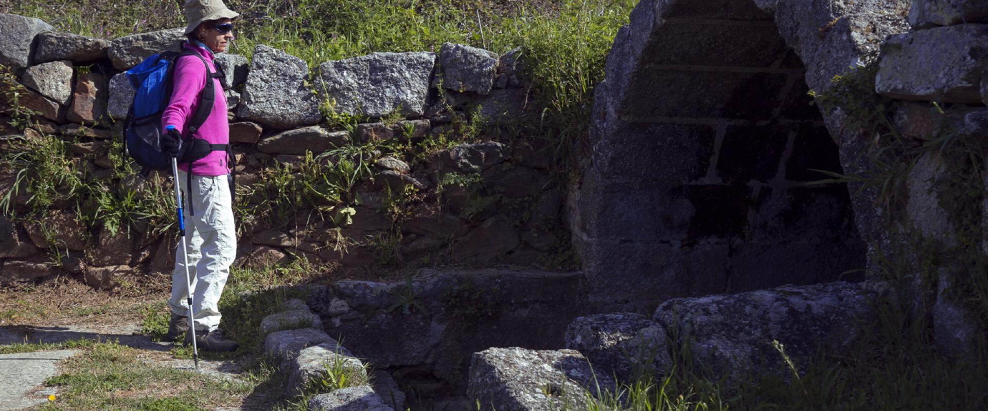 El Sendero del Aceite