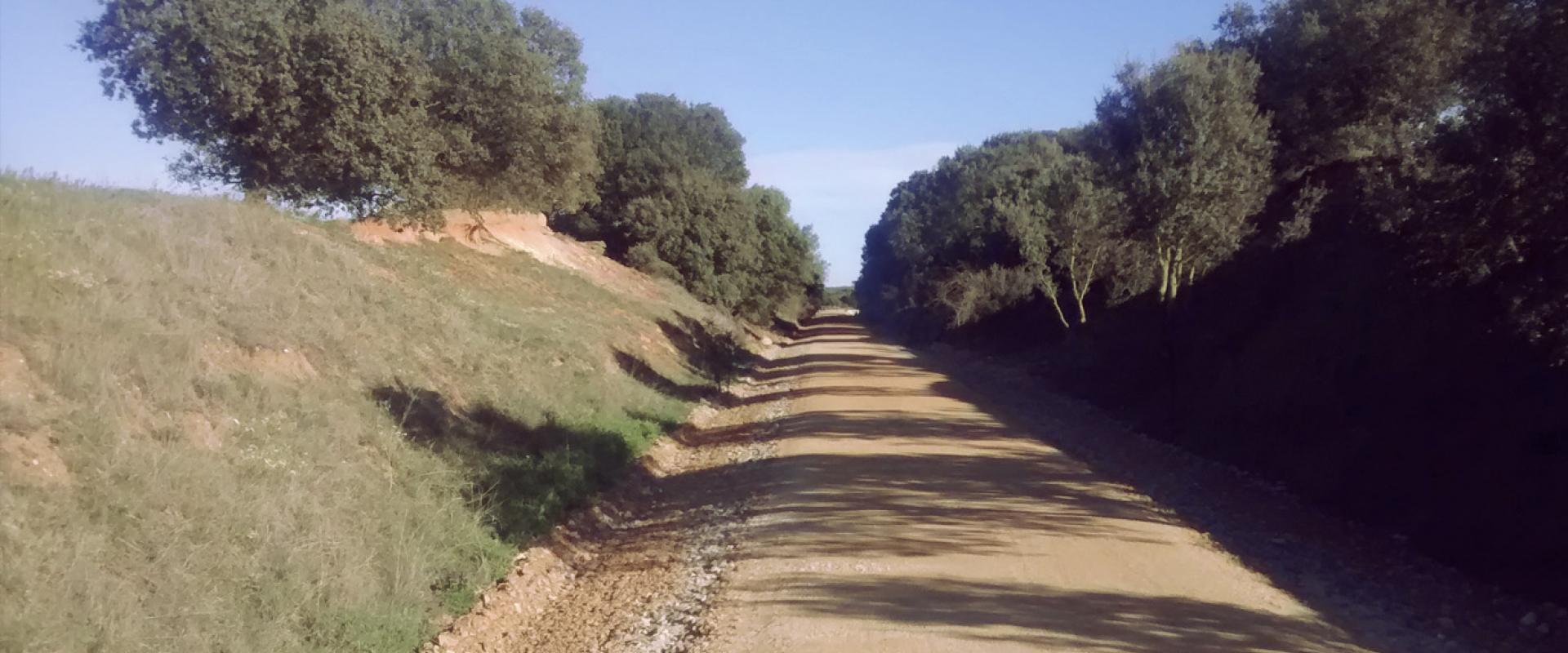 The Camino Natural Vía Verde de la Plata, from Carbajosa de la Sagrada to Alba de Tormes