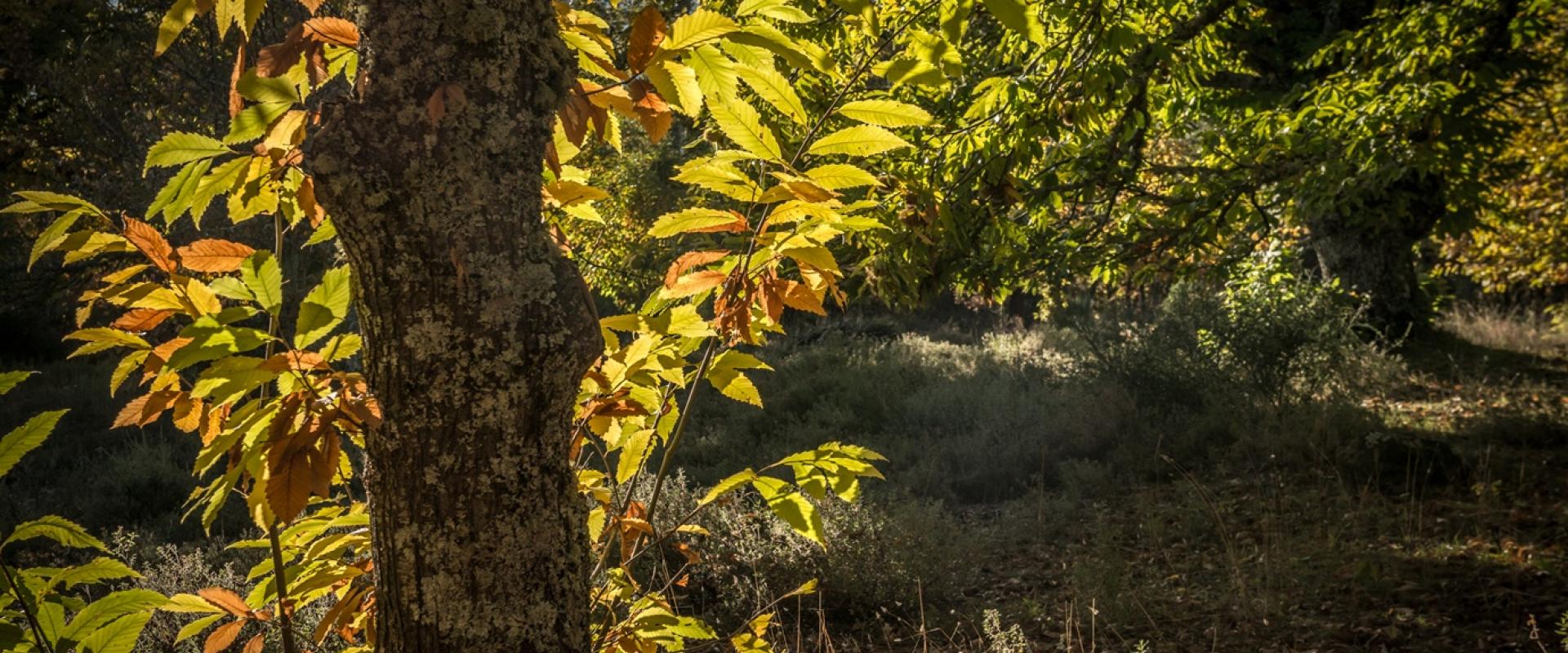 Como llegar y moverse por la provincia