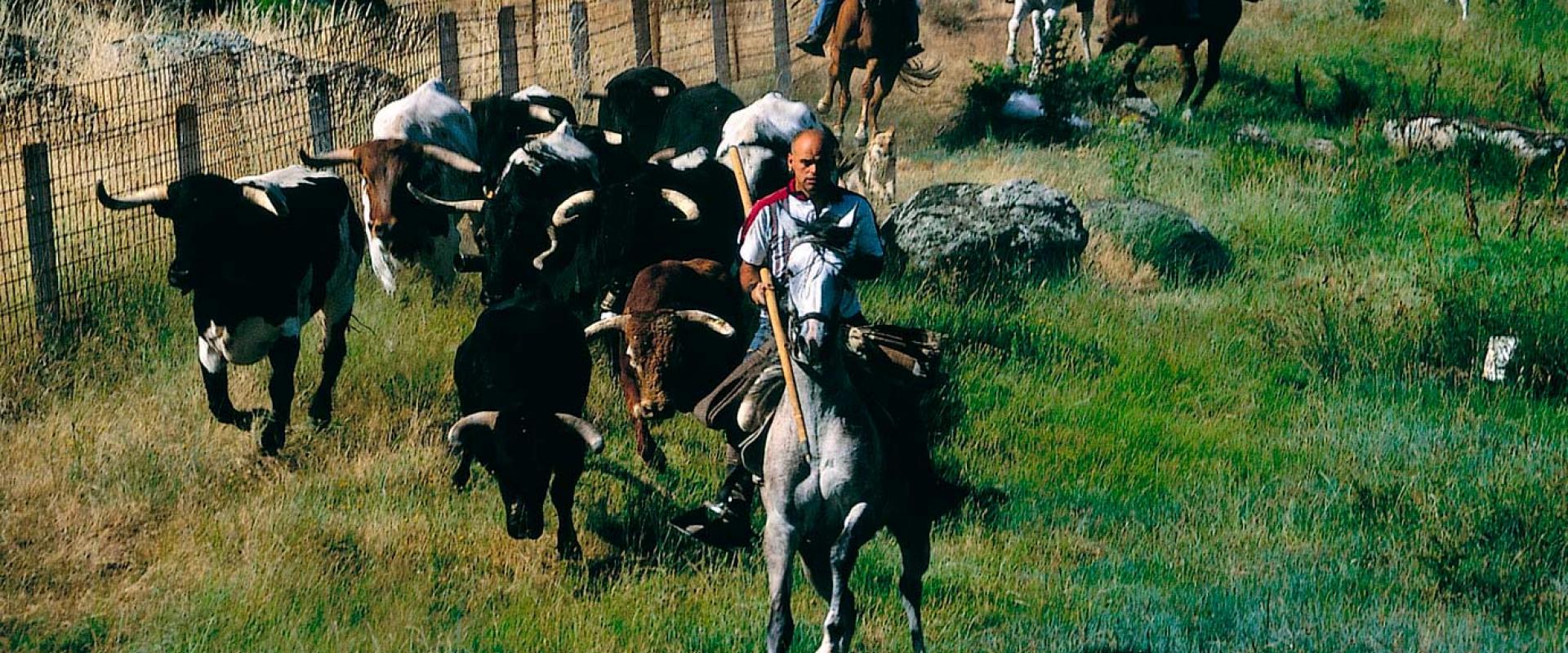 Corpus Christ in Ledesma