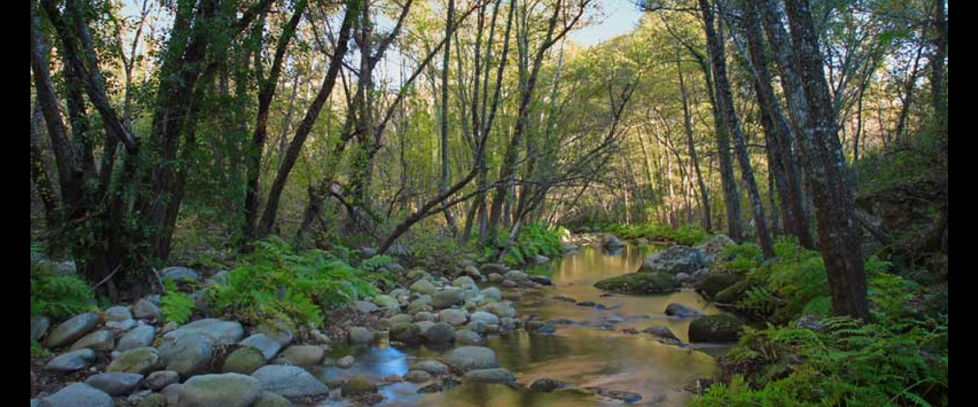 Natureza em La Alberca