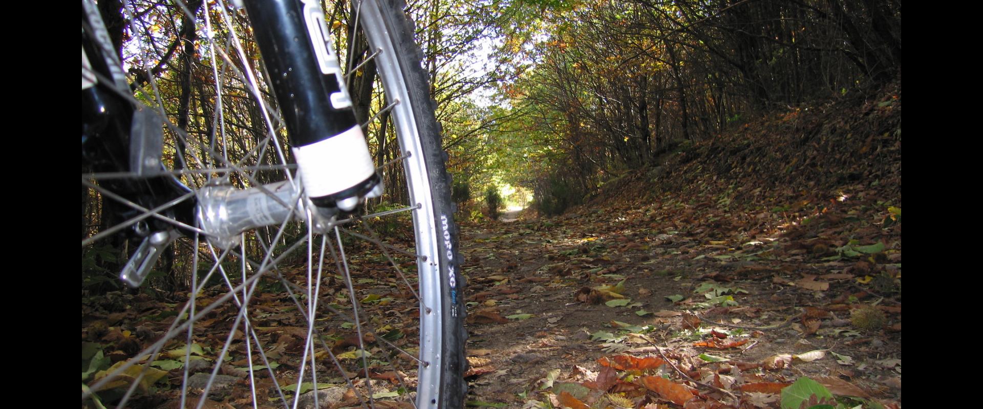 Red de caminos cicloturistas