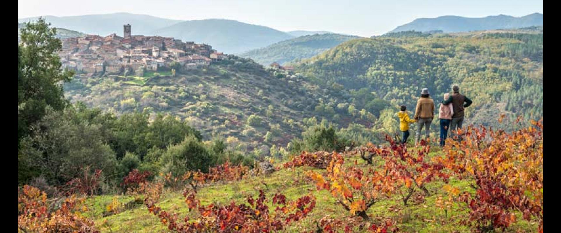Wine Sierra de Salamanca