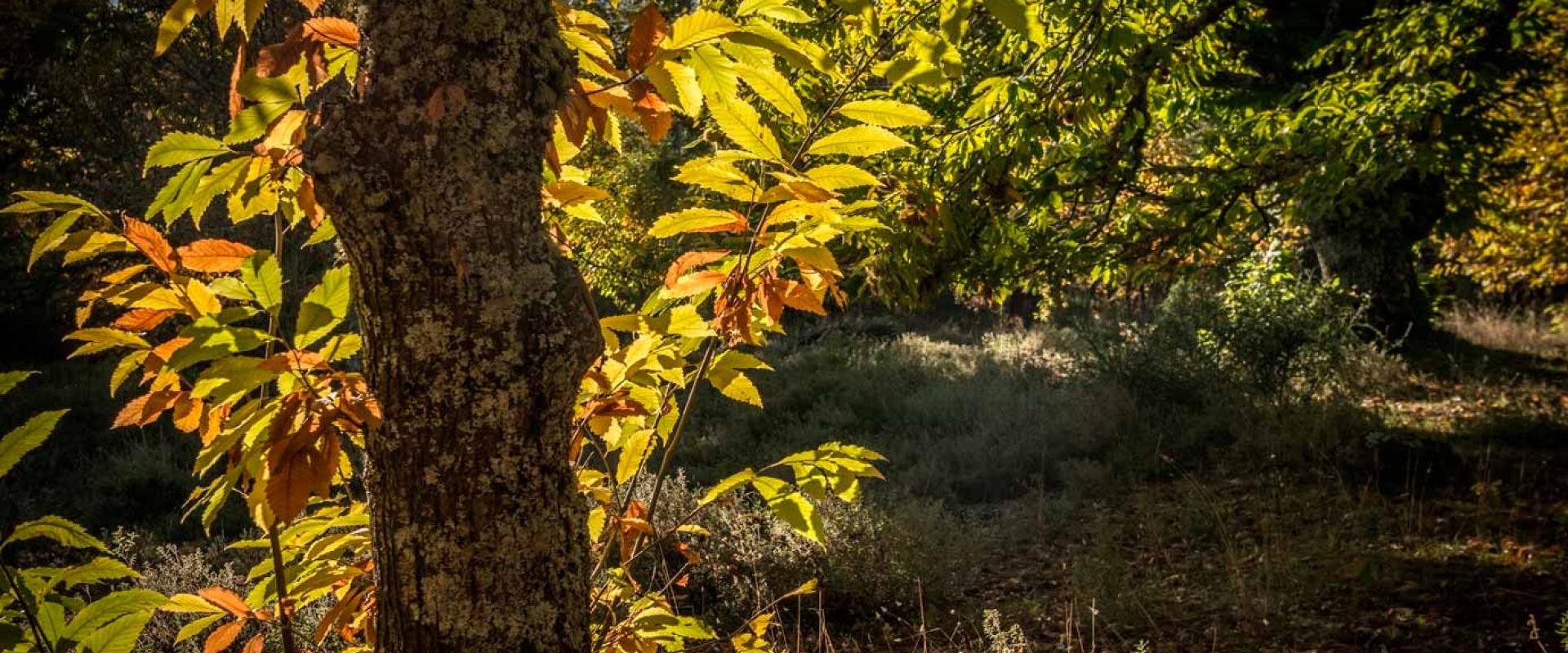 Como llegar y moverse por la provincia