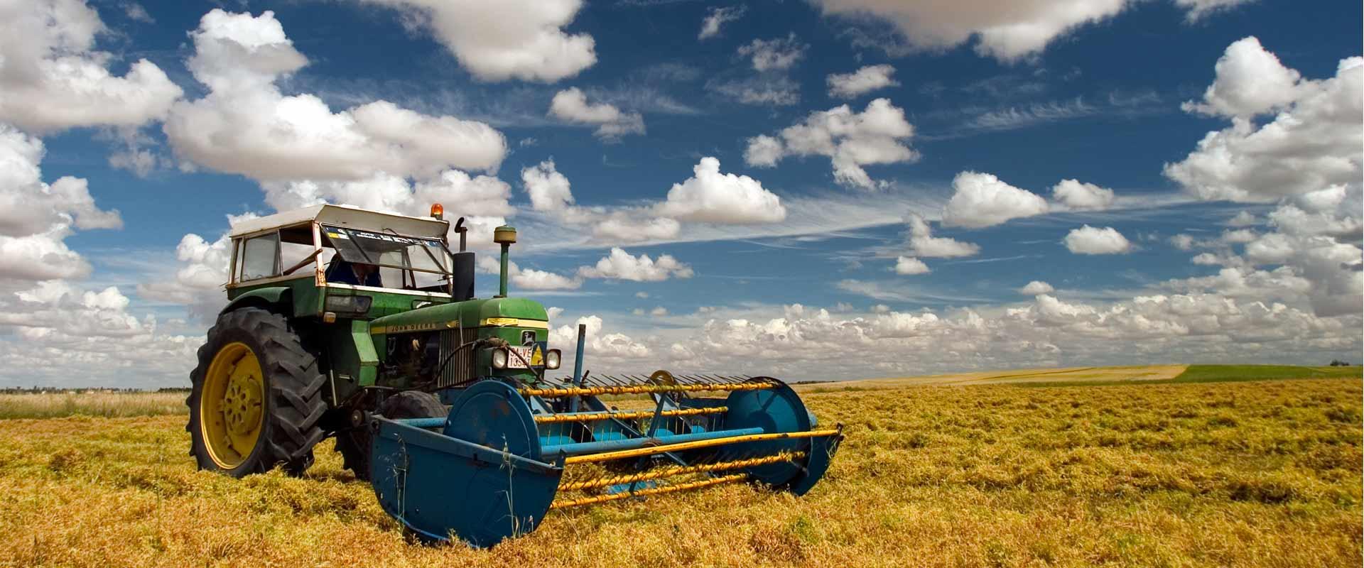 Lentilha de La Armuña