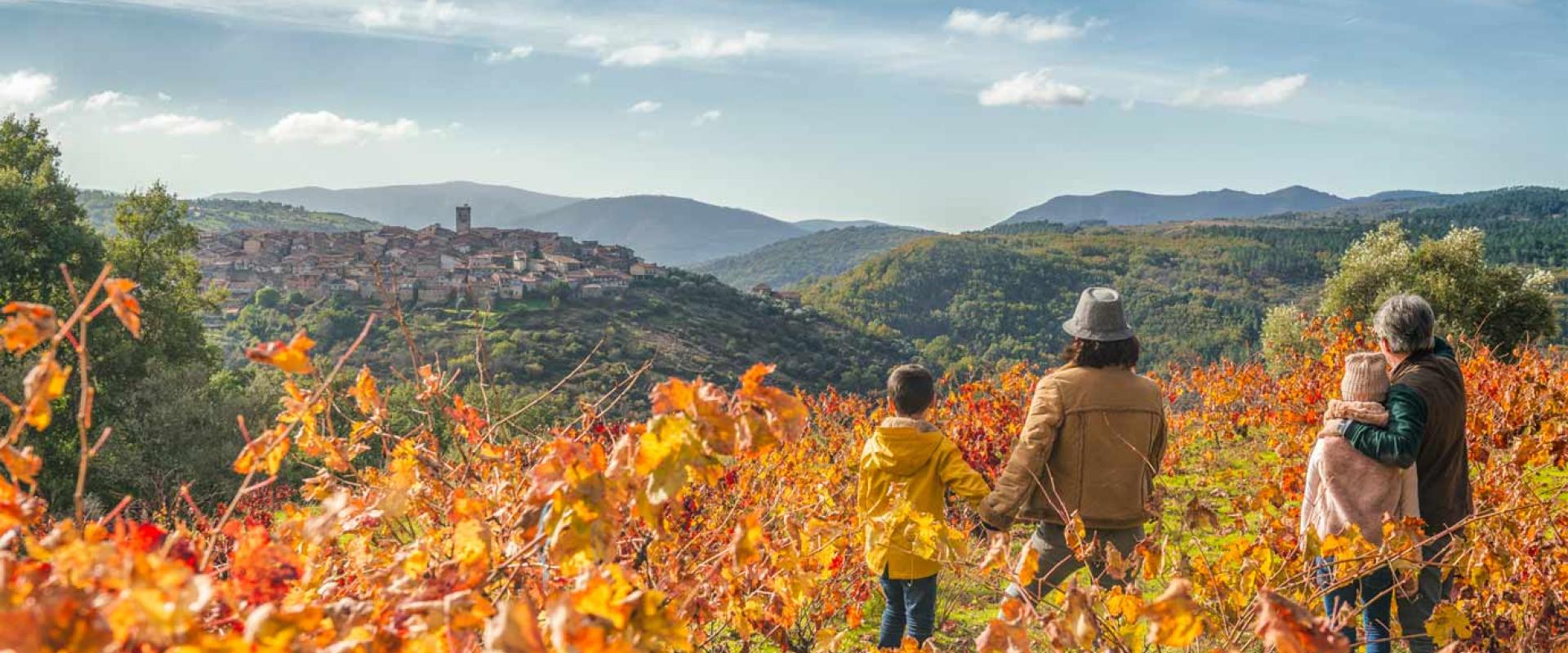 Wine Sierra de Salamanca