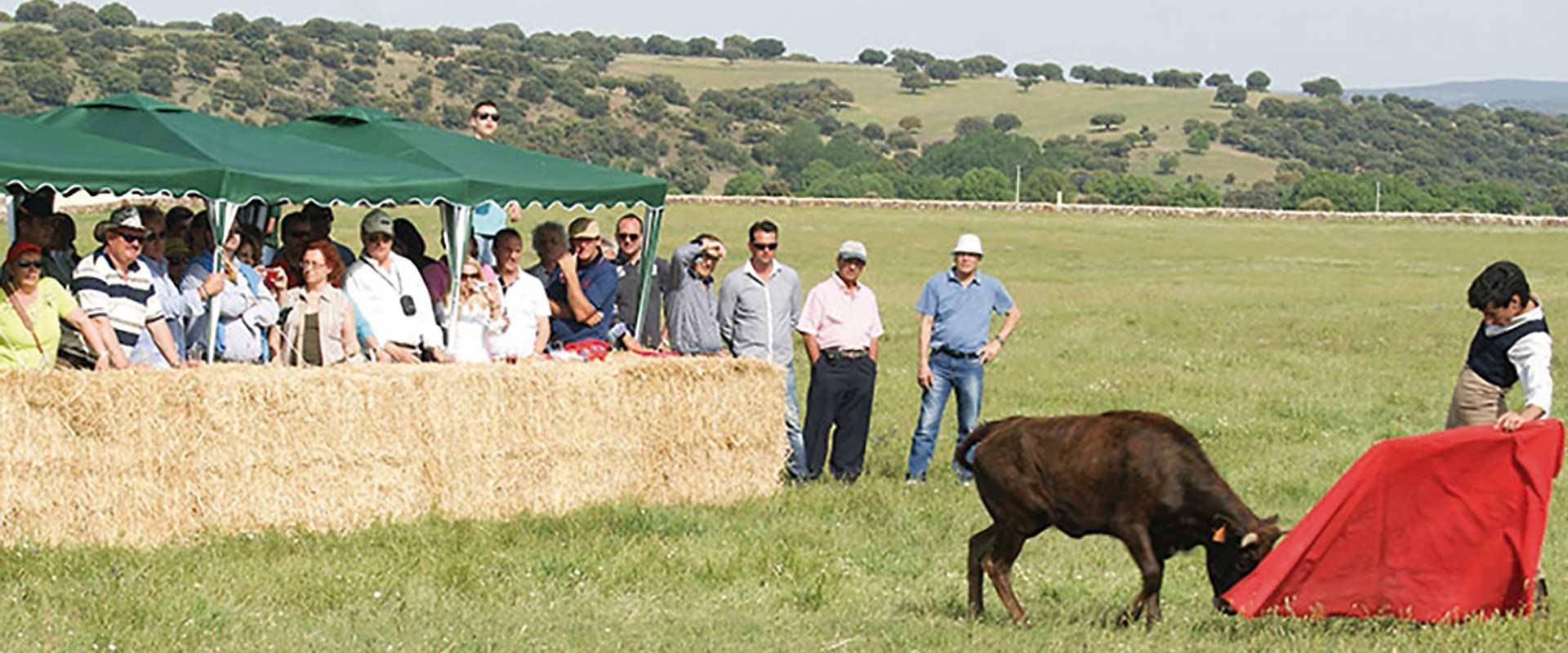 Ganadería Hermanos Valverde. Finca “Valverde de Gonzaliañez”