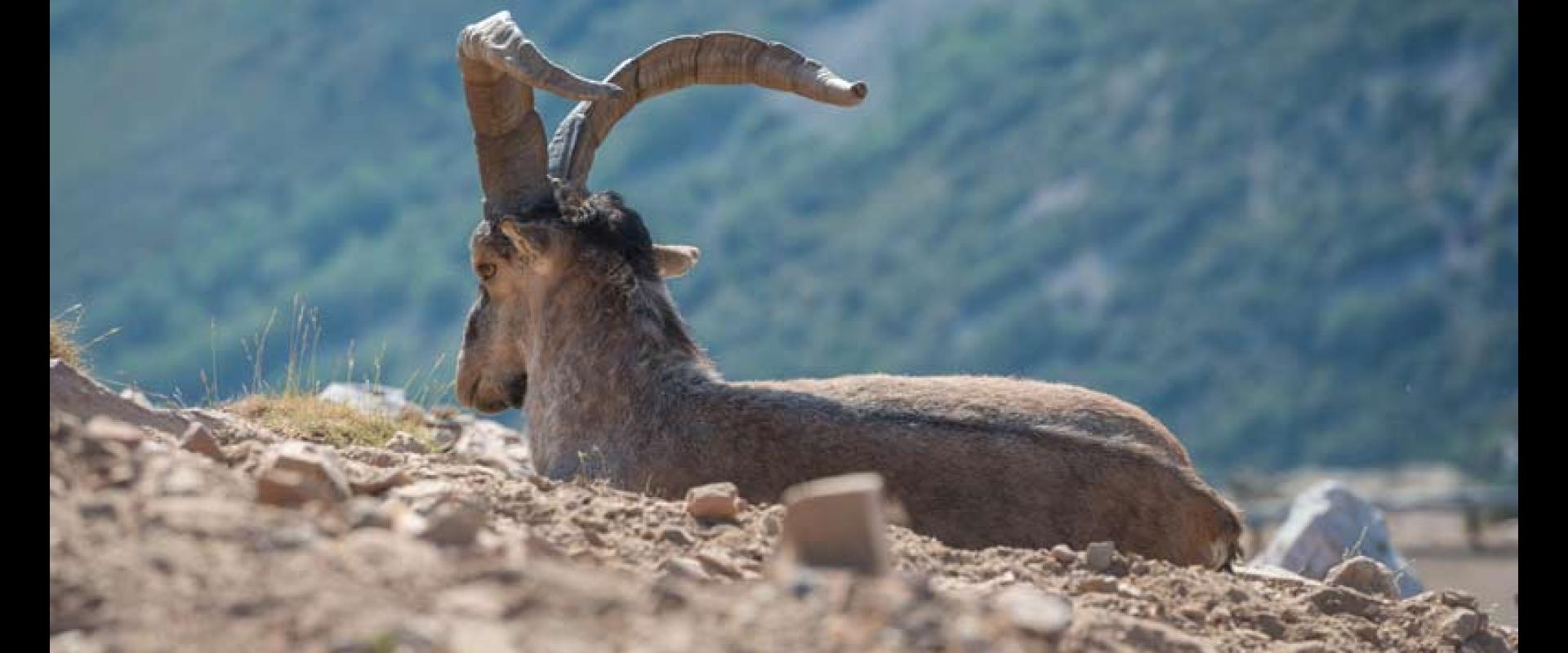 Reserva Regional de Caza de las Batuecas