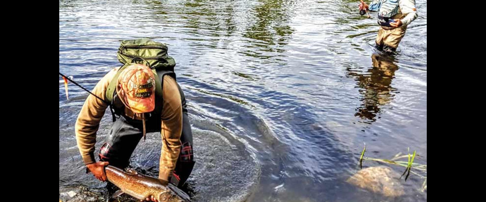 El Salmón del Danubio