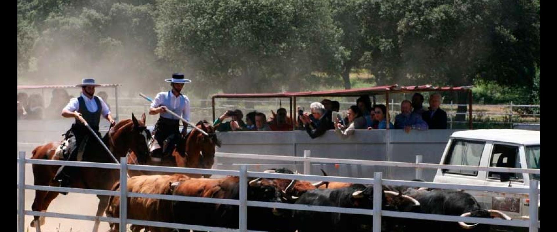 Ganadería Torrealba. Finca “La Roblicita”