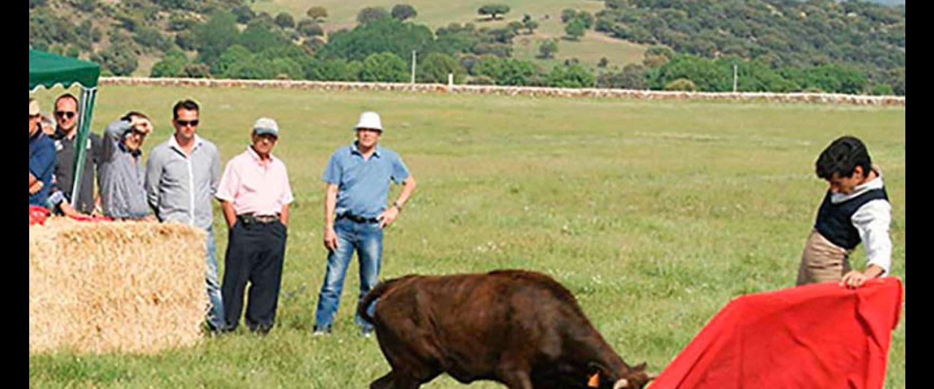 Ganadería Hermanos Valverde. Finca “Valverde de Gonzaliañez”