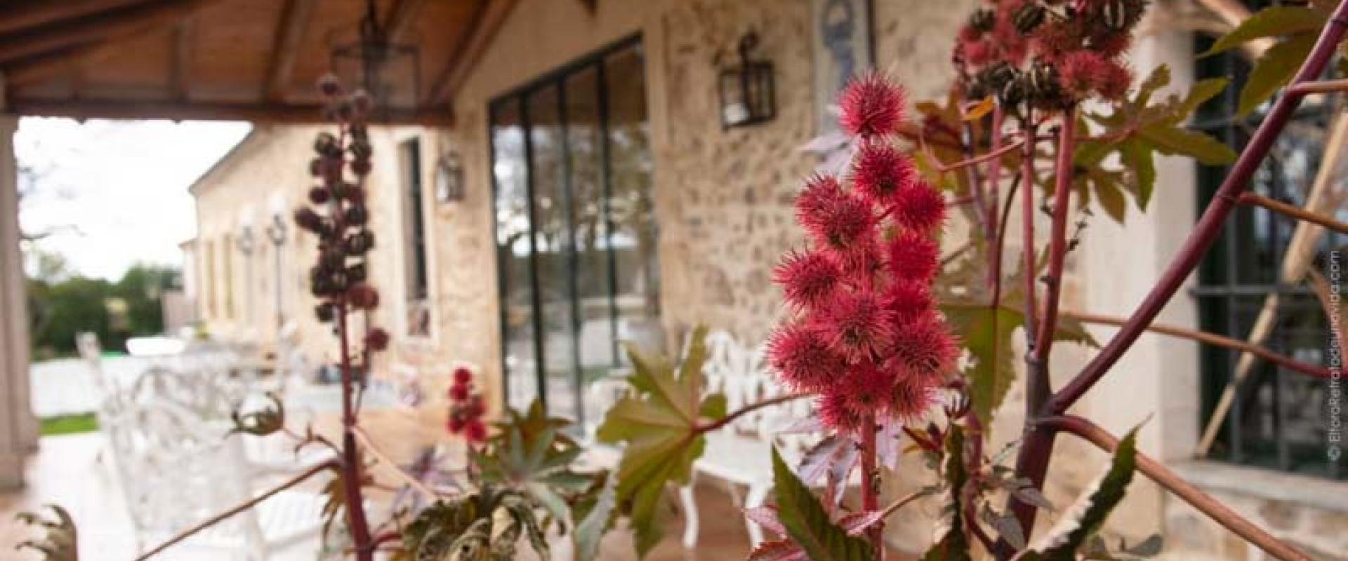 Ganadería Valdefresno