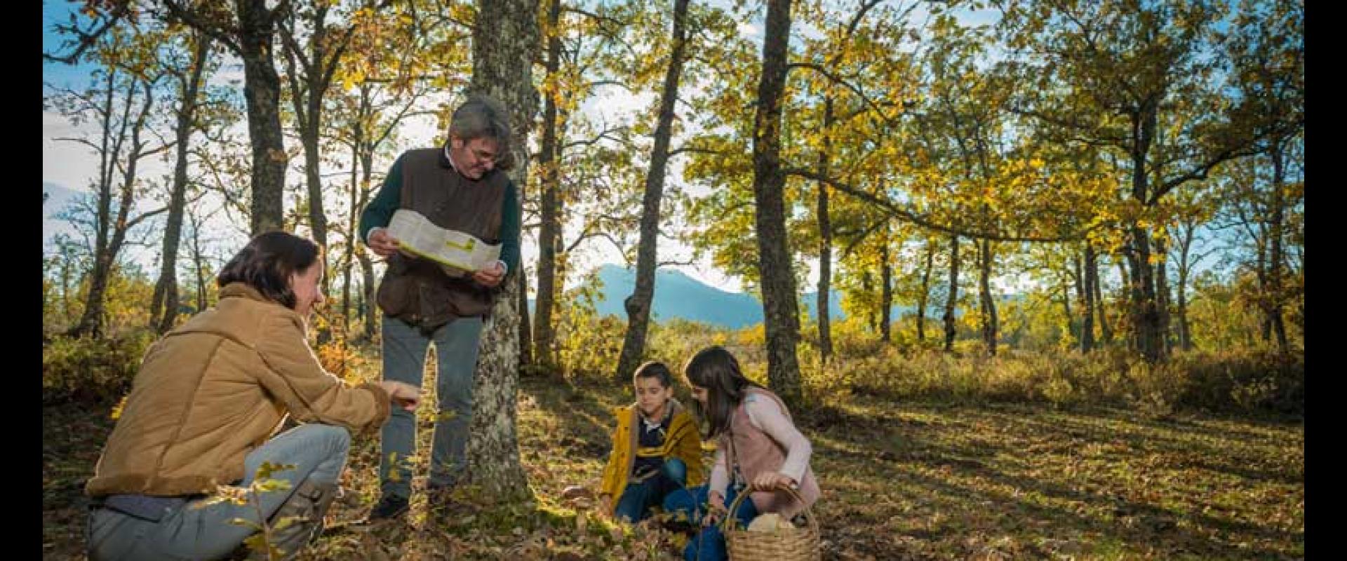 Ruta de los senderos micológicos