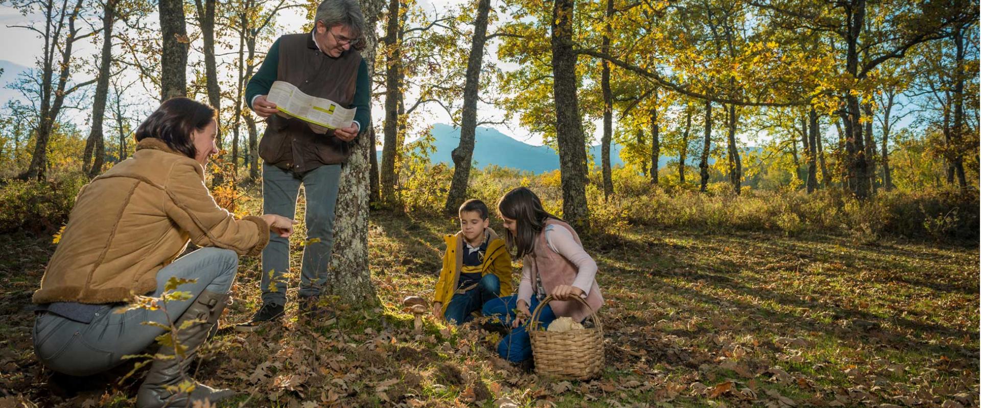 Ruta de los senderos micológicos