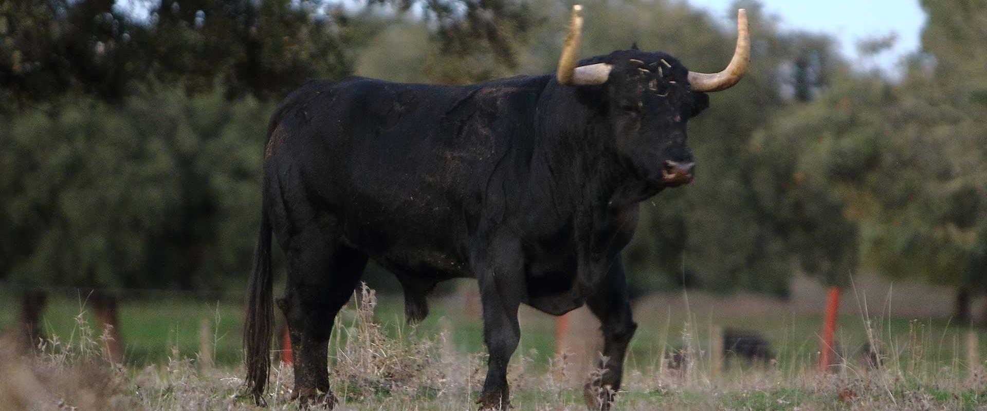 José Enrique Fraile de Valdefresno