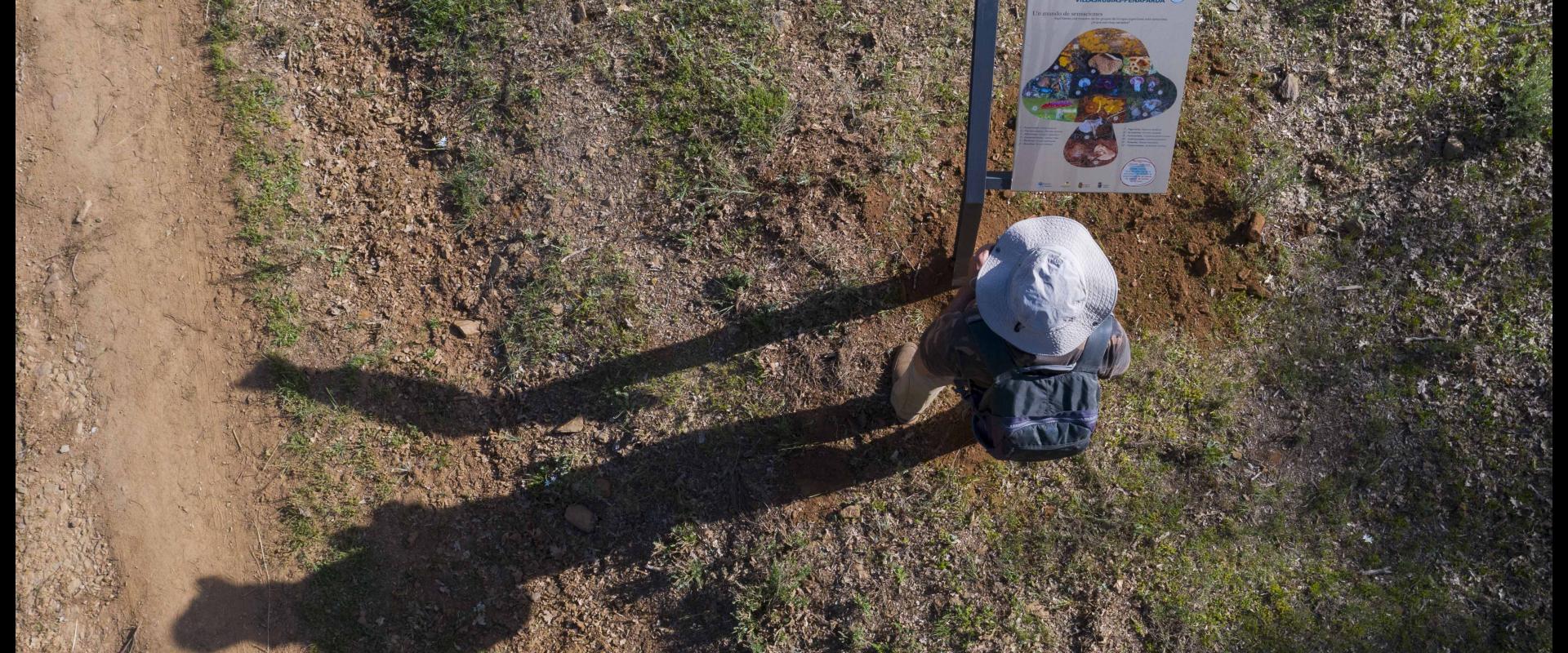 Visitante en el sendero