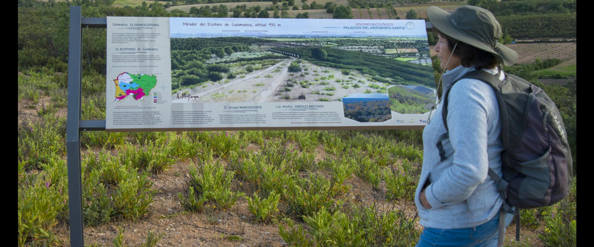 Sendero micológico_Palacios del Arzobispo-Santiz