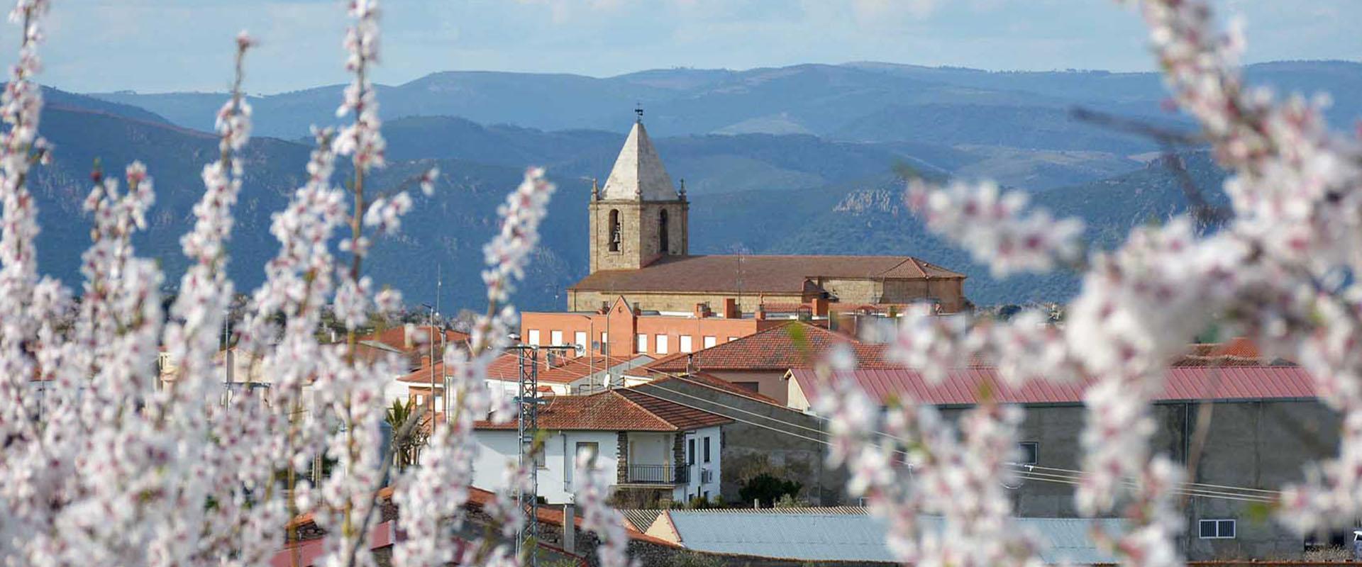 La Fregeneda. Almendros