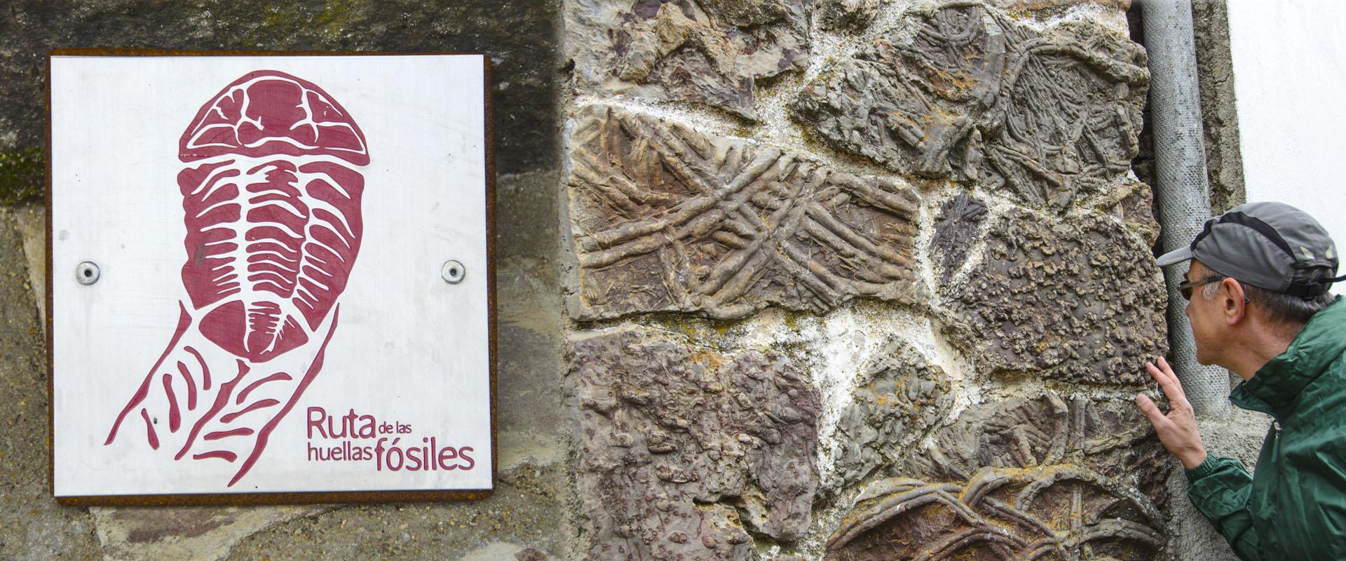 Fósiles-Monsagro