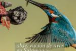 Observación de aves en Salamanca