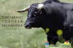 Video: Toro Bravo y Dehesa Salmantina