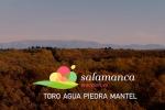 Video: Toro, agua, piedra, mantel-