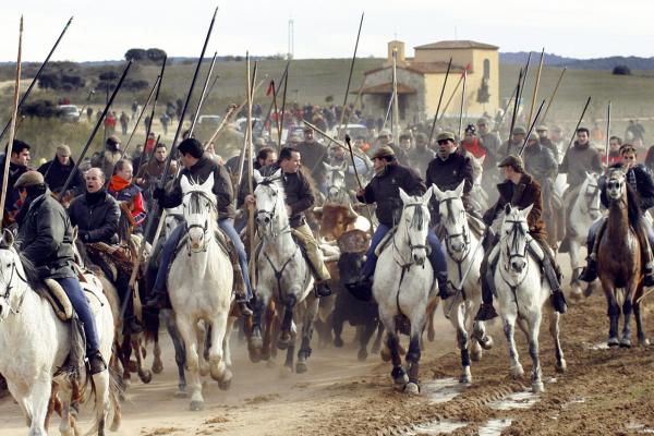 El Carnaval del Toro