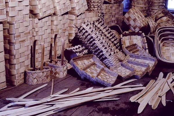 Centro de interpretación del castaño