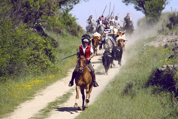 El Noveno (Le Neuvième)