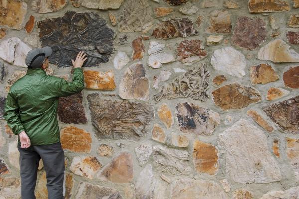 La ruta de las huellas fósiles: Un paseo por los mares antiguos de Monsagro.