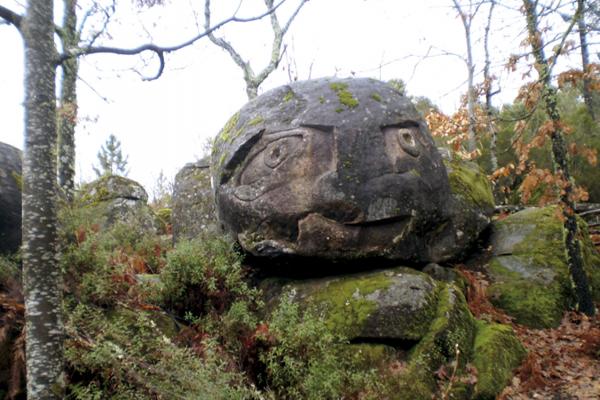 Asentadero-Bosque de los Espejos