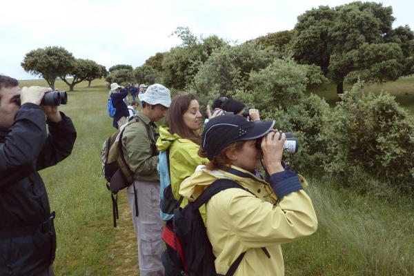 Observación de aves