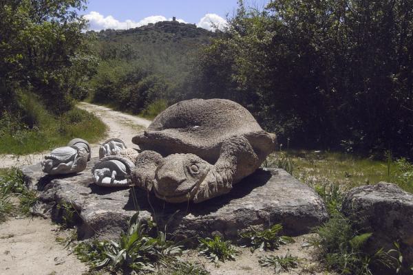 Camino de los Prodigios