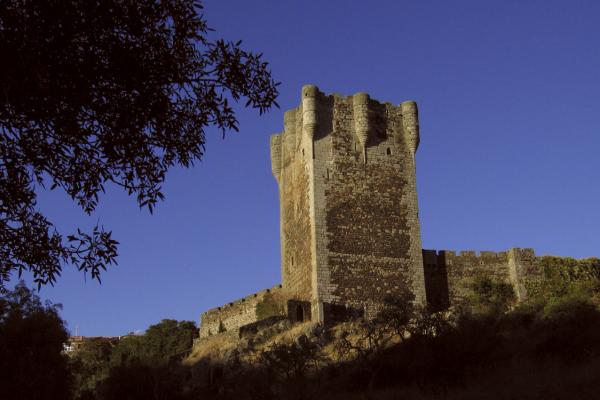 Castillo de Monleón
