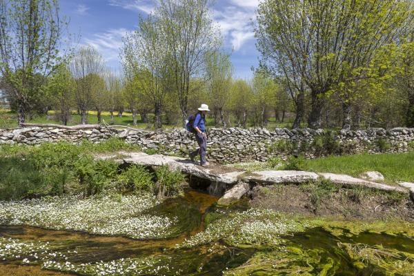 Percurso da Pedras mágicas