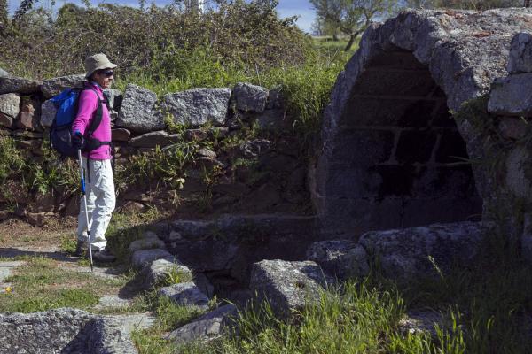 El Sendero del Aceite
