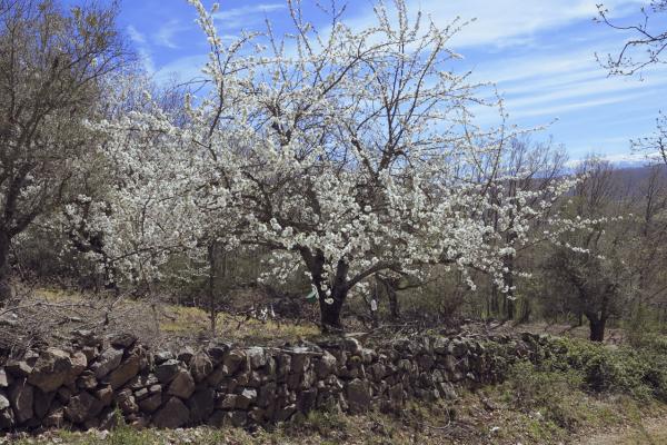 Sendero de los miradores de las Sierras
