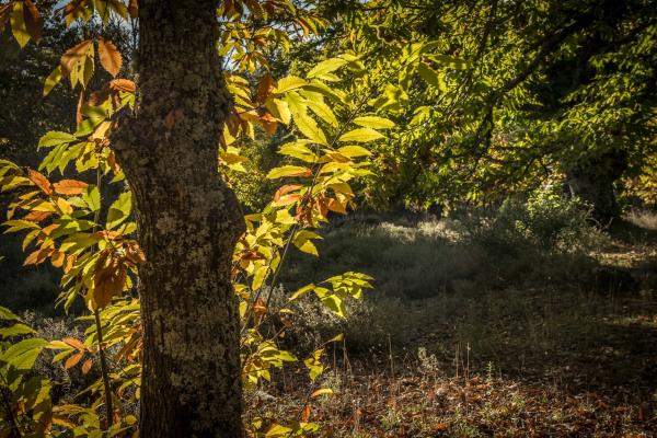 Como llegar y moverse por la provincia