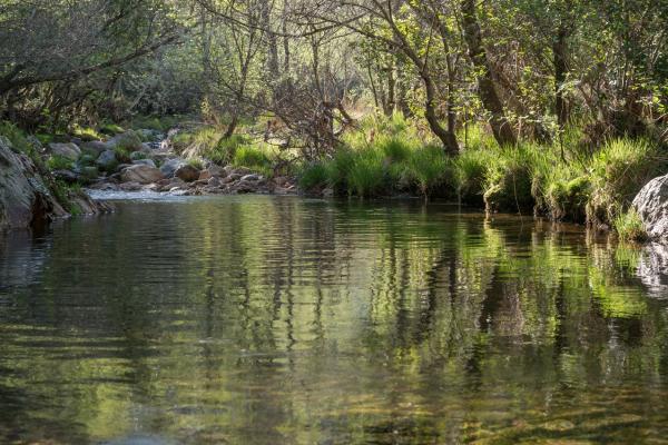 Miranda del Castañar