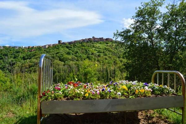 Camino de los Prodigios