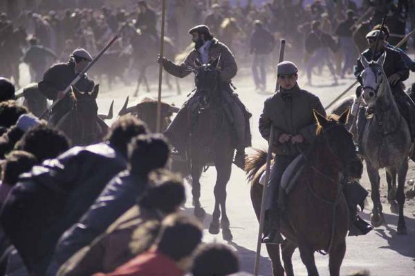 El Carnaval del Toro