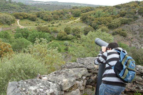Castro de Las Merchanas