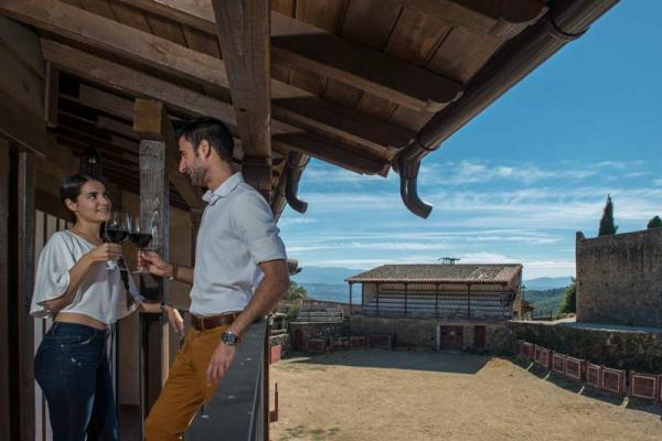 Vinho Serra de Salamanca