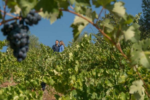 Vinho Serra de Salamanca